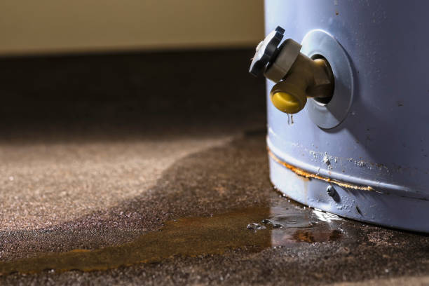 Best Water damage cleanup near me  in Fox Point, WI