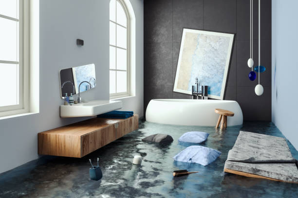Best Local water damage restoration  in Fox Point, WI