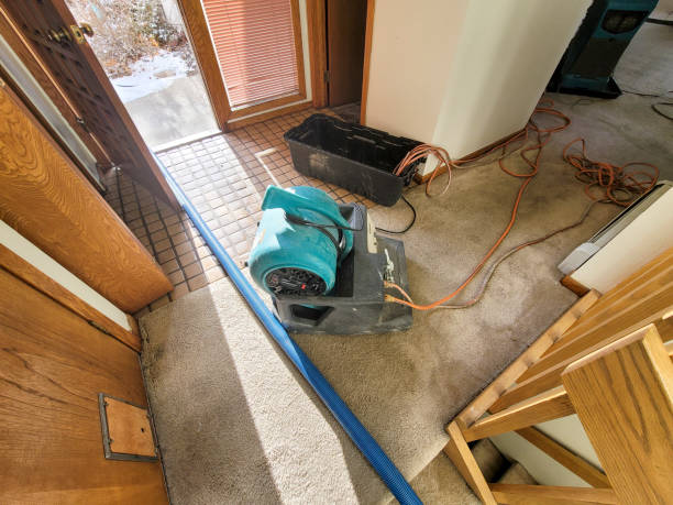 Best Residential water damage restoration  in Fox Point, WI