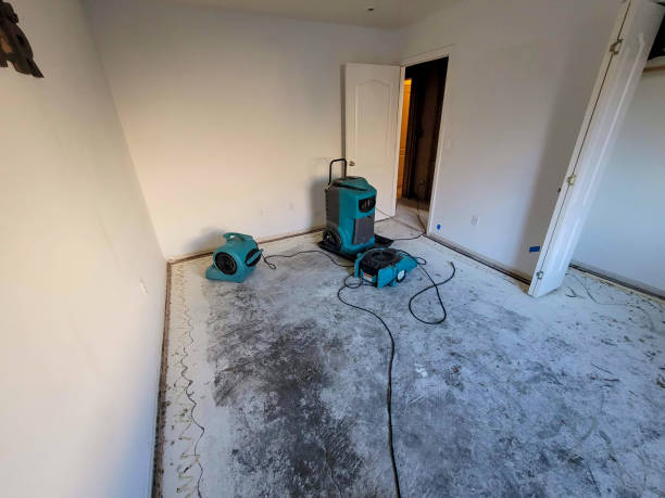 Best Water damage cleanup near me  in Fox Point, WI
