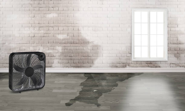 Best Professional water damage repair  in Fox Point, WI