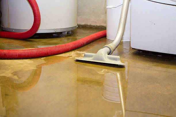 Best Carpet water damage restoration  in Fox Point, WI