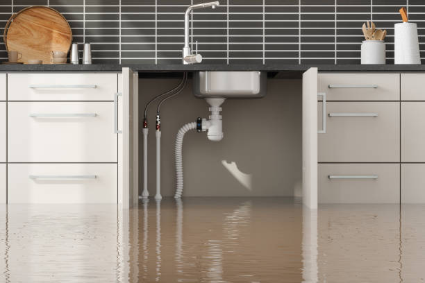Best Commercial water damage restoration  in Fox Point, WI
