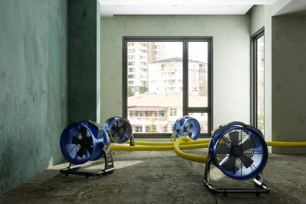 Best Water damage repair service  in Fox Point, WI